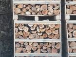 Apple tree firewood DAP - photo 1