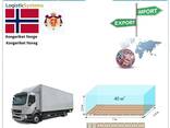 Автотранспортные грузоперевозки из Норвегии в Норвегию с Logistic Systems - фото 7