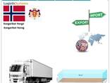 Автотранспортные грузоперевозки из Норвегии в Норвегию с Logistic Systems - фото 8