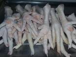 Chicken Feet and chicken paws and whole halal chicken at the best prices with prompt shipp - фото 1