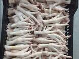 Chicken Feet and chicken paws and whole halal chicken at the best prices with prompt shipp - фото 2
