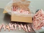 Chicken Feet and chicken paws and whole halal chicken at the best prices with prompt shipp - фото 3