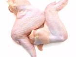 Chicken Wings - фото 5