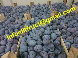 Fresh plum