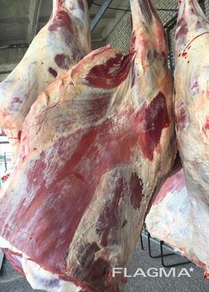 Frozen meat
