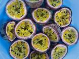 Frozen Passion Fruit - фото 1