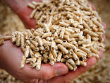 High Quality Wood Pellet / Wholesales Wood Pellet with Best Price - photo 1