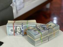 I will buy a 49% share in the business.