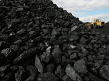 Кокс, уголь, медный концентрат из Казахстана на экспорт - фото 4