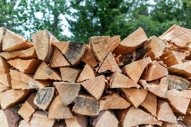 Top Quality Kiln Dried Firewood , Oak and Beech Firewood Logs for Sale