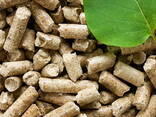 Pellets A1 6 mm: - photo 1