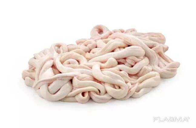 Pork small intestines