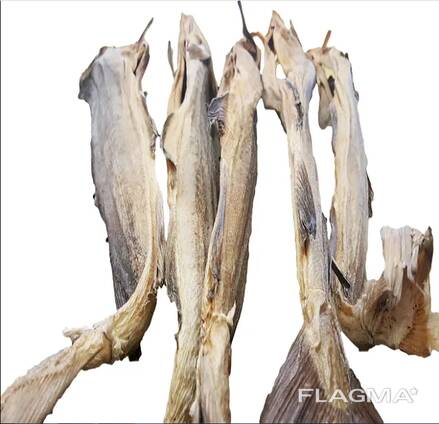 Premium Quality Dried Bombay Duck Fish / Dried Cod Fish Tosk Cod Fish