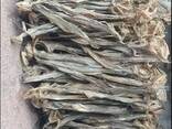 Premium Quality Dried Bombay Duck Fish / Dried Cod Fish Tosk Cod Fish - фото 7
