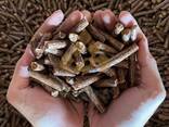 Top Grade ENA1 wood pellets for sell - photo 4
