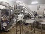 Production of automatic conveyor line - photo 1
