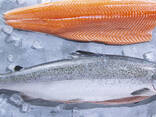 Quality Product Whole Frozen Salmon Fish - фото 2