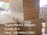 Sell sawn timber, edged planks, blanks Aspen - фото 4