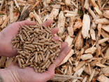 Wholesale Best Quality Wood Pellets For Sale In Cheap Price - photo 1