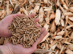 Wholesale Best Quality Wood Pellets For Sale In Cheap Price