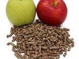 Wood pellets, best quality 500 pallets available for ENA1 approved - фото 5