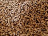 Wood pellets | Manufacturer | 1000 tons p. m. | Eco-fuel | Ultima - photo 5