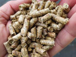 Wood pellets | Manufacturer | 1000 tons p. m. | Eco-fuel | Ultima - photo 7